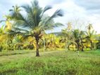 Land for Sale in Godagama