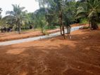 Land for Sale in Godagama