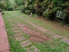 Land For Sale in Godagama, Homagama (SSPL-159)