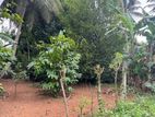 Land for Sale in Godamuduna 15.4P