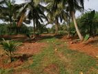 Land for Sale in Godigamuwa Negombo