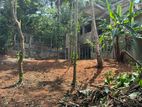 Land for Sale in Gohagoda