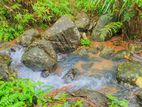 Land for sale in gonagaldeniya / SA 13750
