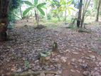 Land for Sale in Gonahena, Kadawatha