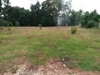 Land for Sale in Gonamaditta road Piliyandala #WR0480