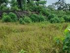 Land For Sale In Gonapala