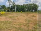 Land for Sale in Gonapinuwala, Hikkaduwa
