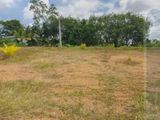 Land for Sale in Gonapinuwala, Hikkaduwa