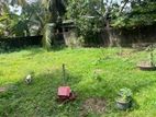 Land for Sale in Gothatuwa