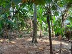 Land for Sale in Gothatuwa New Town
