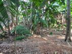 Land for Sale in Gothatuwa New Town