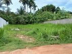 Land for Sale in Govikam Pedesa Road Raththanapitiya