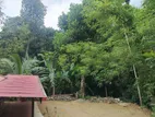 Land for sale in Gunnepana