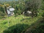 Land for Sale in Gurudeniya