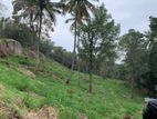 Land for Sale in Gurudeniya