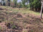 Land for Sale in Gurudeniya