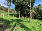 Land for Sale in Gurudeniya