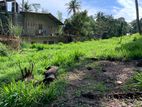 Land for Sale in Gurudeniya