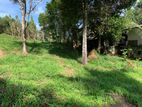 Land for Sale in Gurudeniya