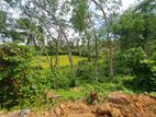 Land for Sale in Habaraduwa