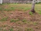 Land for Sale in Habarakada