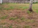 Land for Sale in Habarakada