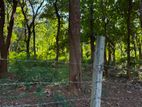 Land for Sale in Habaran