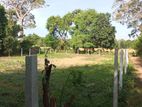 Land For Sale in Habarana