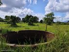 Land for Sale in Habarana