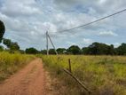 Land for Sale in Habarana