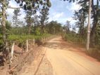 Land for Sale in Hadeniya - Bolagala