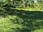 Land for Sale in Hadhapaangoda