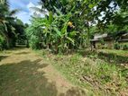 Land for Sale in Haggalla