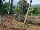 Land for Sale in Hakmana