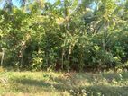 Land for Sale in Hakmana