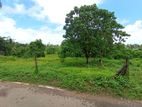 Land for Sale in Halbarawa Gardens, Thalahena