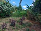 Land For Sale in Halbarawa(SSPL-222)