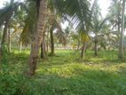 Land For Sale in Haldaduwana | Dankotuwa