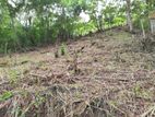 Land for Sale in Hali Ela
