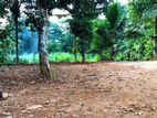 Land for Sale in Hali Ela