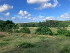Land for Sale in Halkadavila - Beruwala