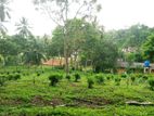 Land for Sale in Halpatota, Baddegama.