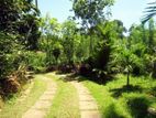 Land for Sale in Halpatota, Baddegama