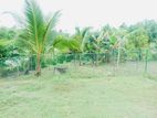 Land For Sale in Halthota, Horana (SSPL-364)