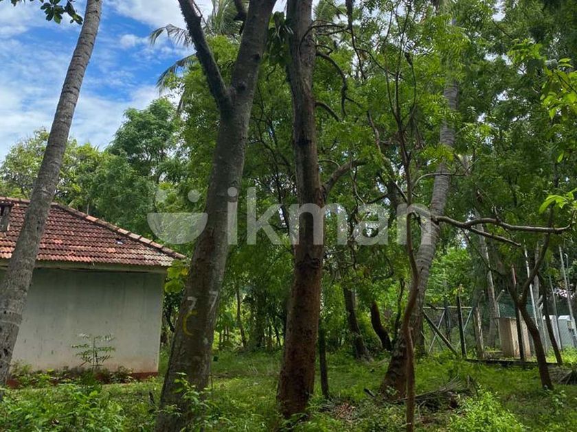 Land for Sale in Hambantota ikman