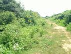 Land For Sale In Hambantota