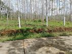 Land for sale in Handapangoda