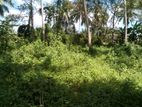 Land For Sale In Hanwella