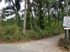 Land for sale in Hanwella