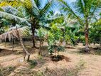 Land for sale in Hanwella